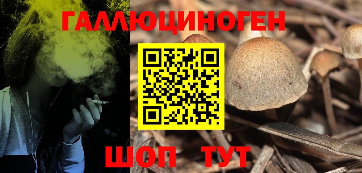 Галлюциногенные грибы мухоморы  Вход с VPN  Усть-Илимск  Псилоцибиновые грибы мухоморы 